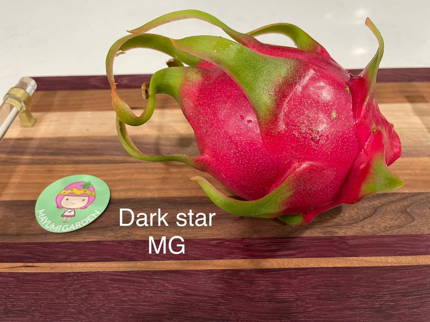 Dark Star dragon fruit live cutting 12"