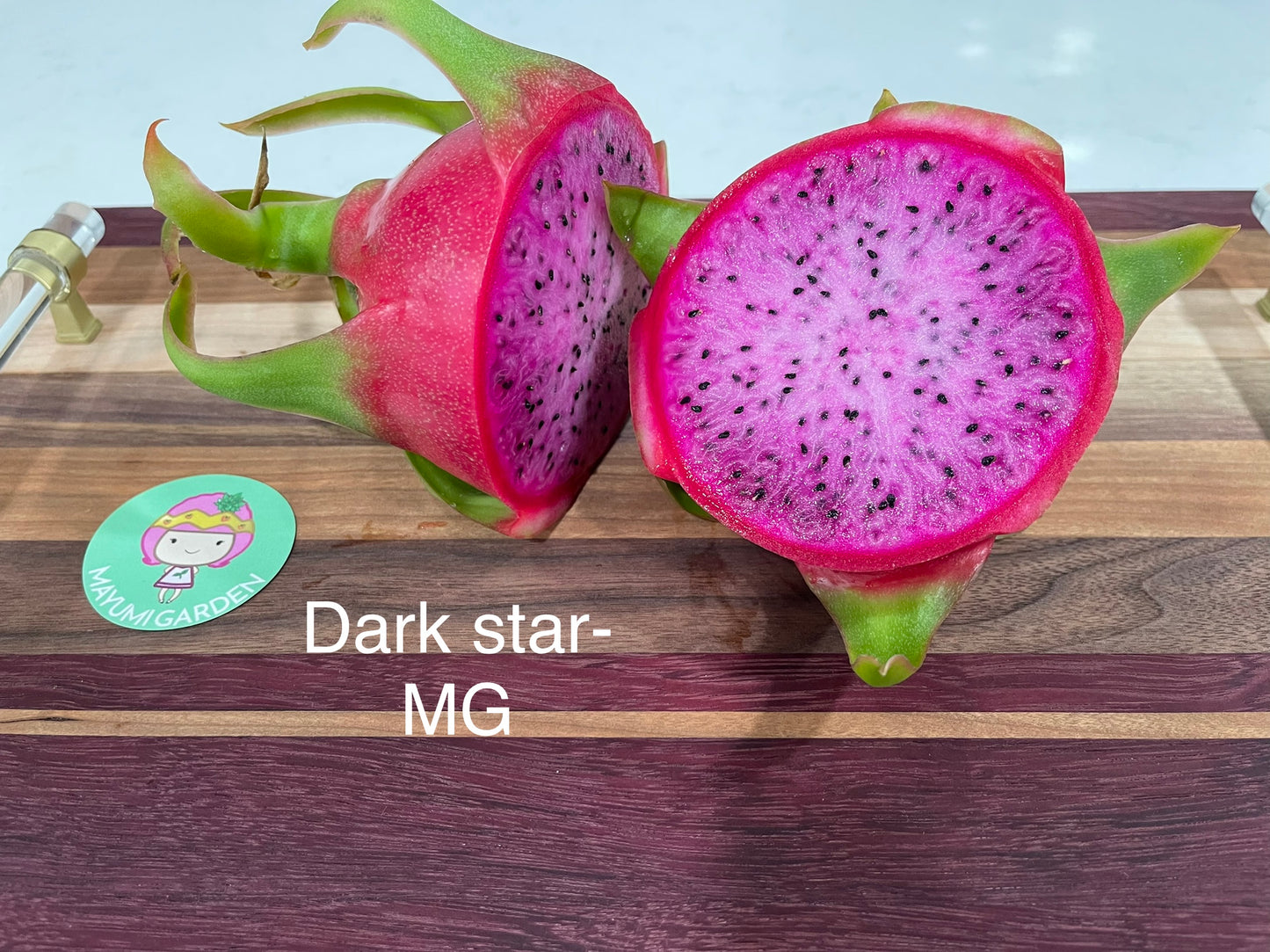 Dark Star dragon fruit live cutting 12"