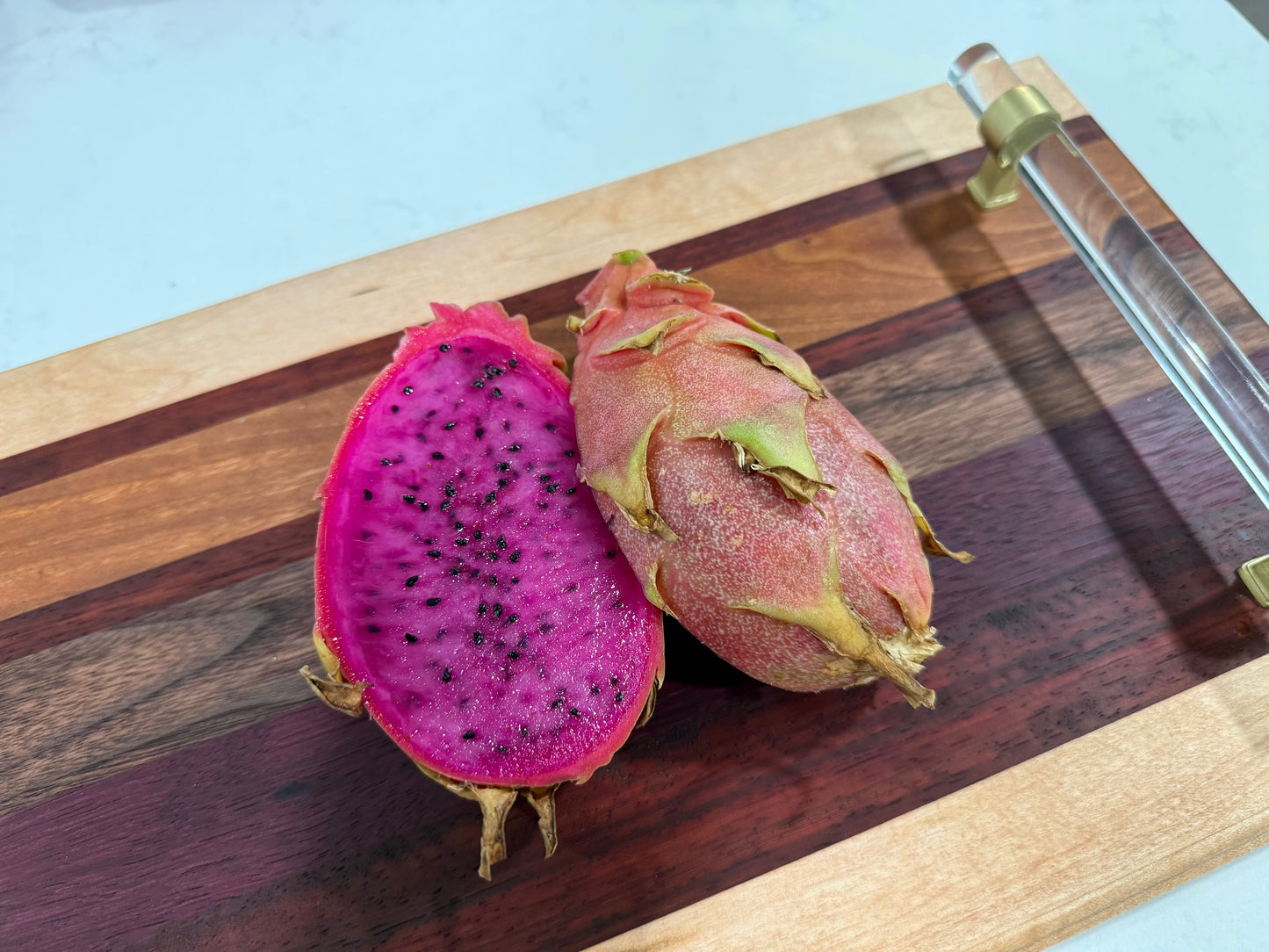Asunta 3 dragon fruit cuttings 12" and rooted plant