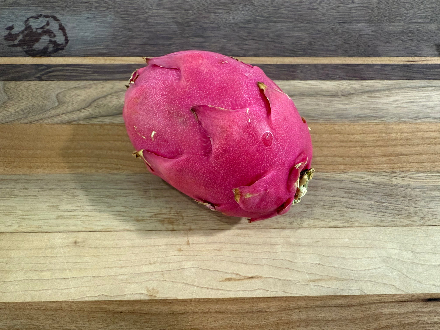 Valdivia Roja Dragon Fruit live plants and cuttings