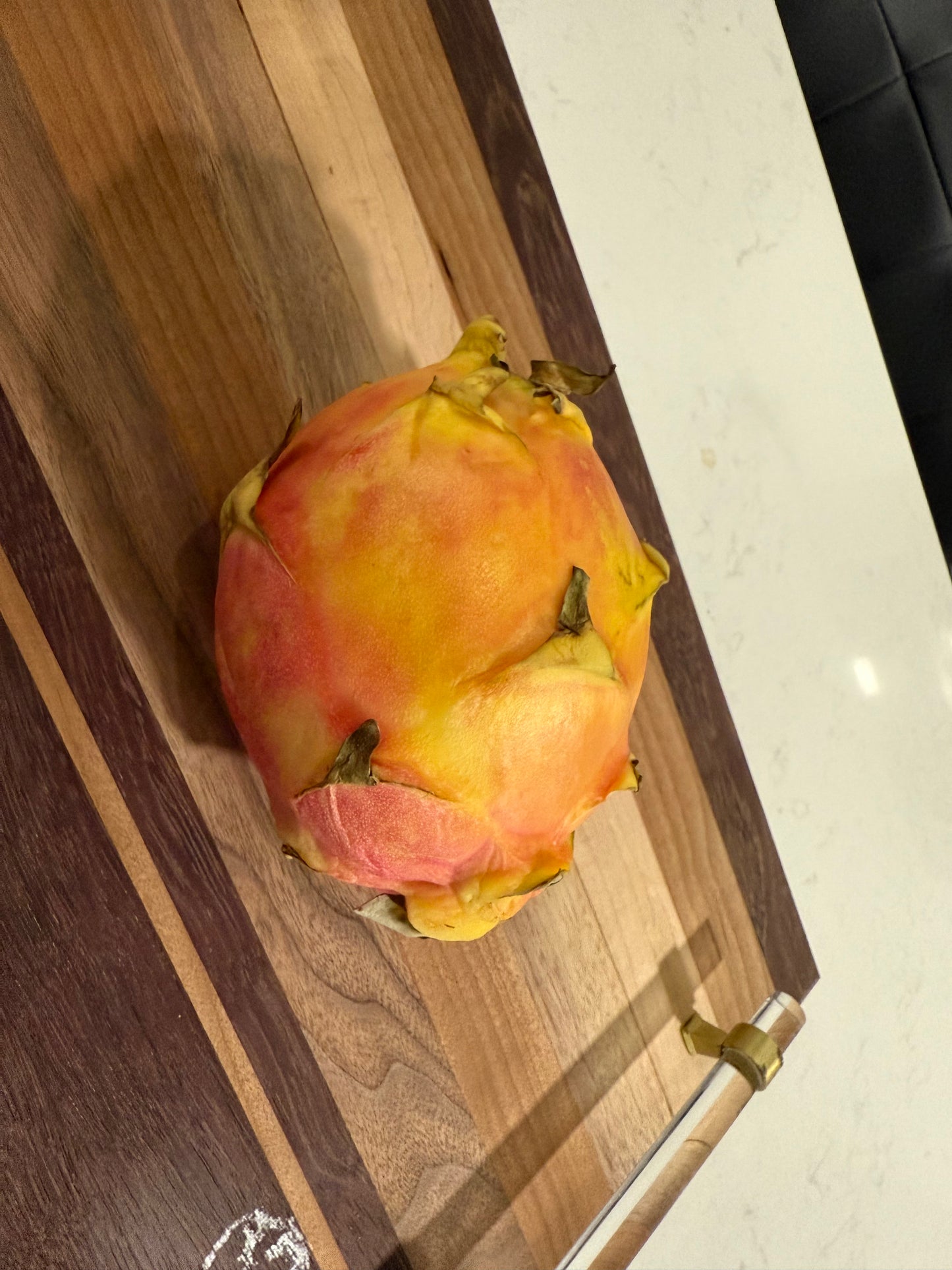 Rainbow Dragon Fruit live cutting 12"