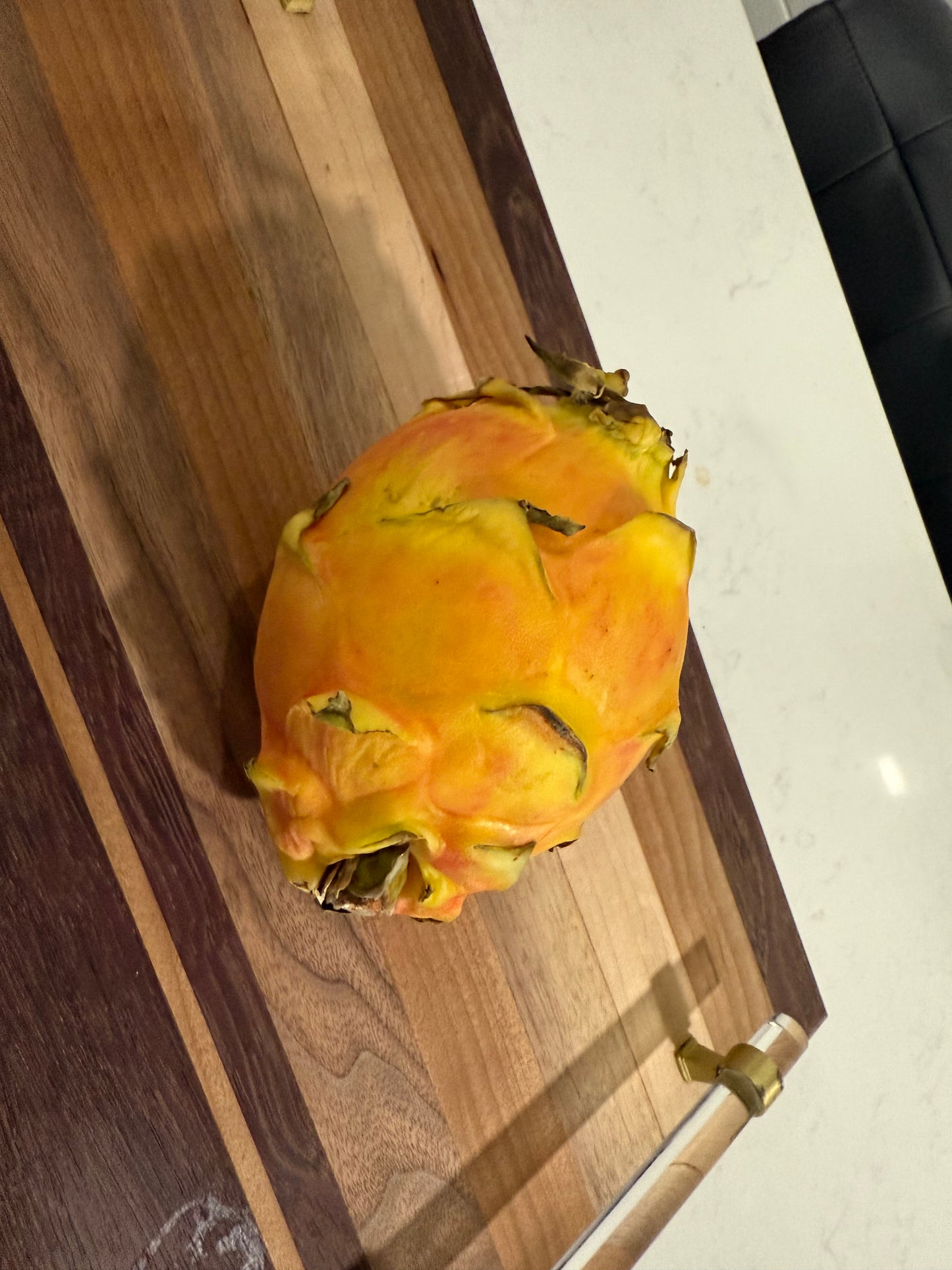 Rainbow Dragon Fruit live cutting 12"