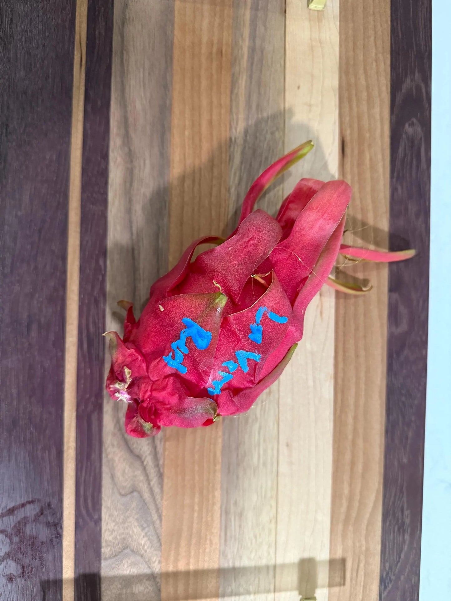 LaVern Red dragon fruit live cuttings 12"