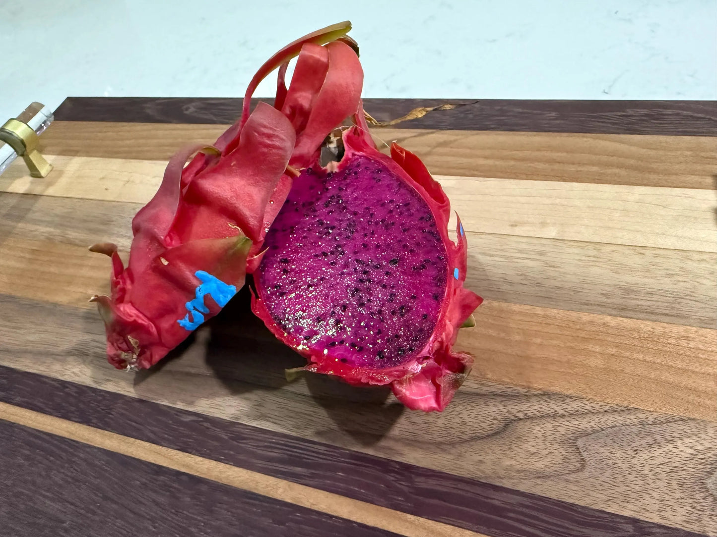 LaVern Red dragon fruit live cuttings 12"