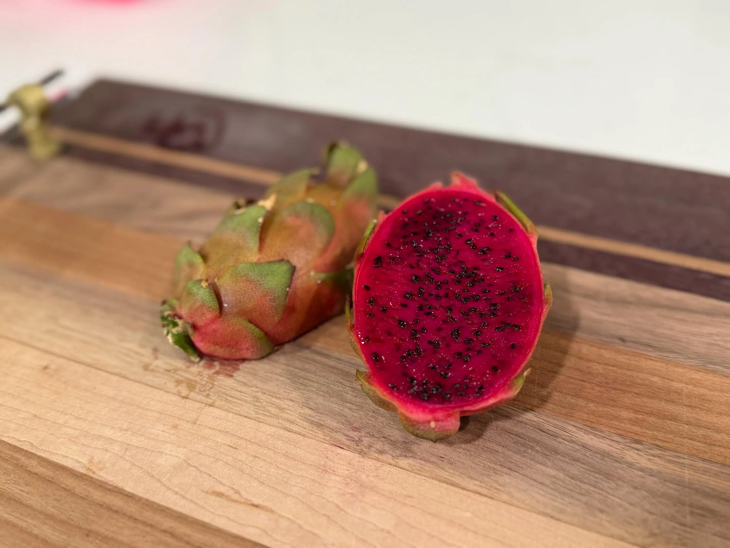 Asunta 5 Ventura Dragon Fruit cutting 12"