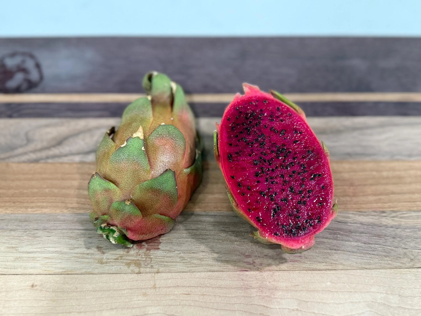 Asunta 5 Ventura Dragon Fruit cutting 12"