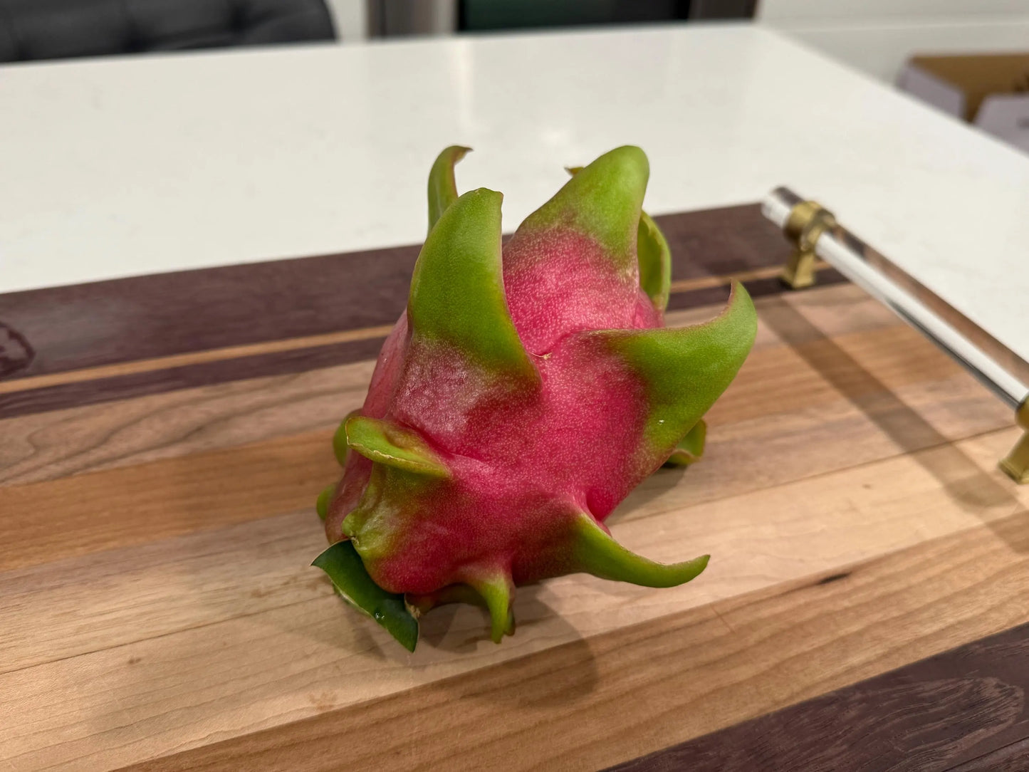 Edgar’s baby dragon fruit cuttings (12") and rooted plants