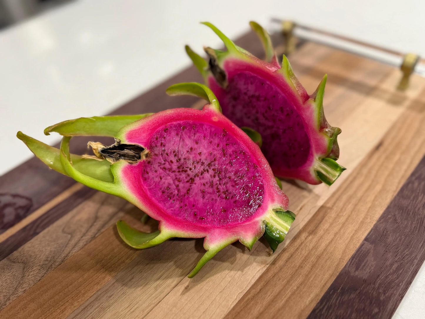 Edgar’s baby dragon fruit cuttings (12") and rooted plants