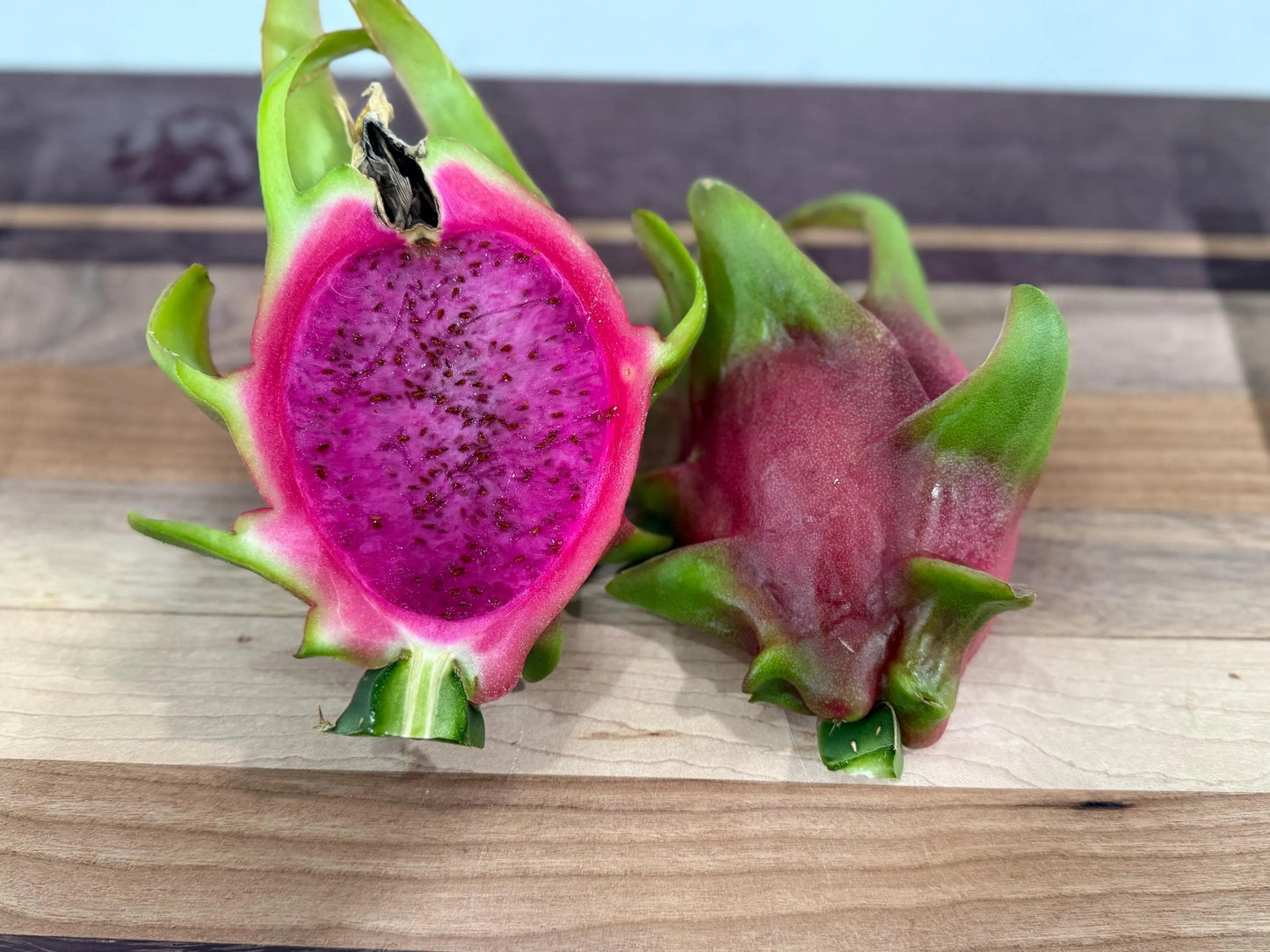 Edgar’s baby dragon fruit cuttings (12") and rooted plants