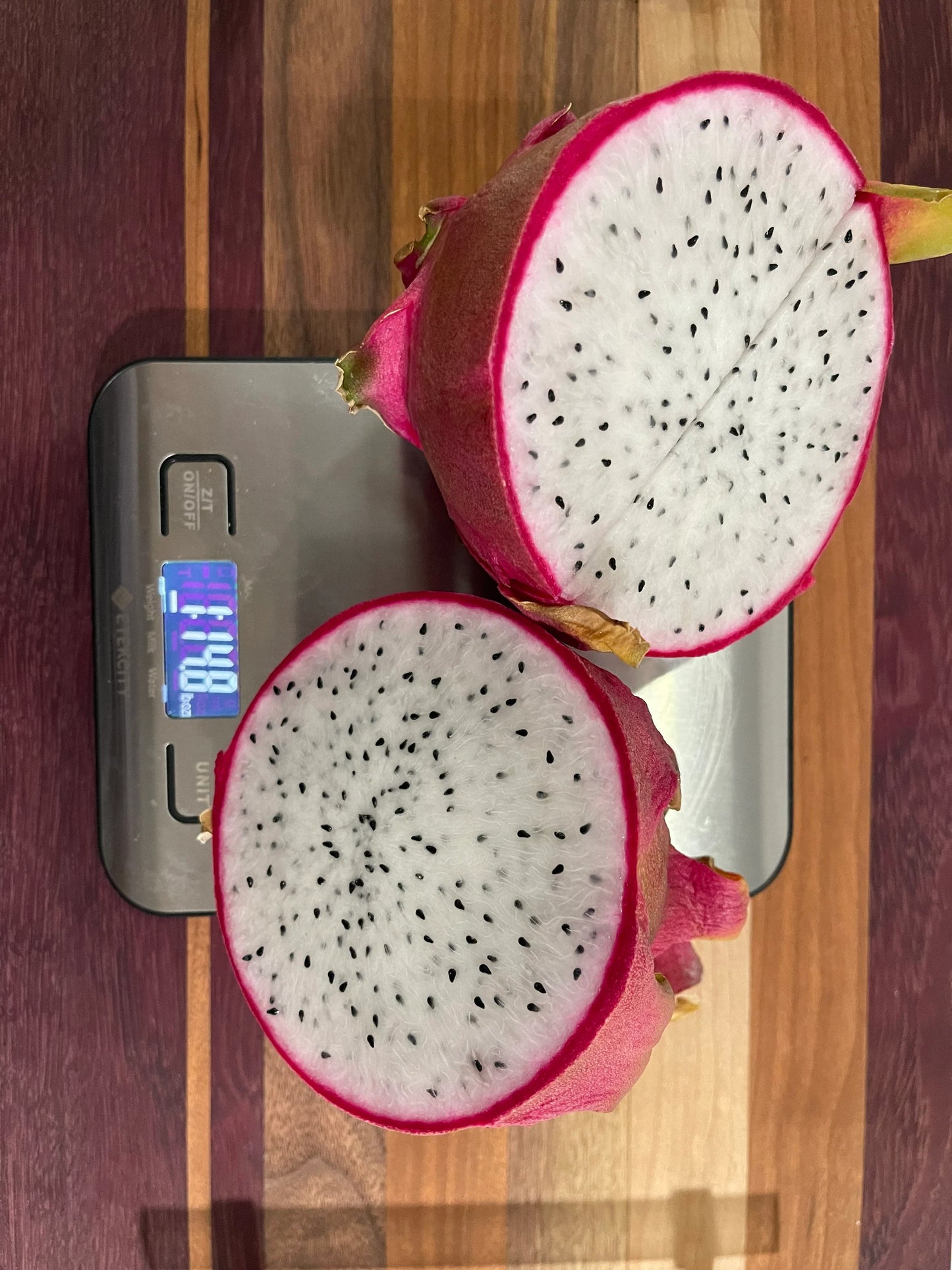 Vietnamese Giant White dragon fruit cutting (12”)