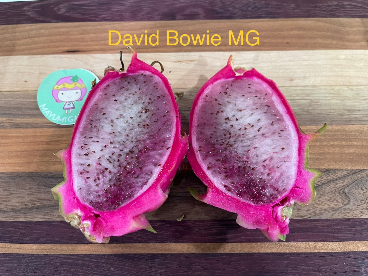 David Bowie dragon fruit cuttings (12" or longer)