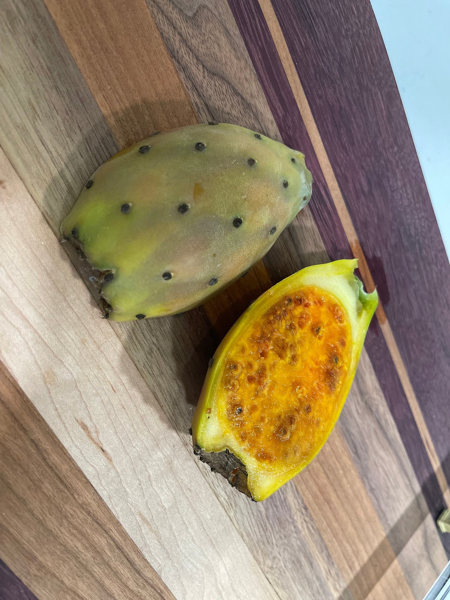 Opuntia ficus indica prickly pear cactus, Spineless/Barbary Fig, pad cutting