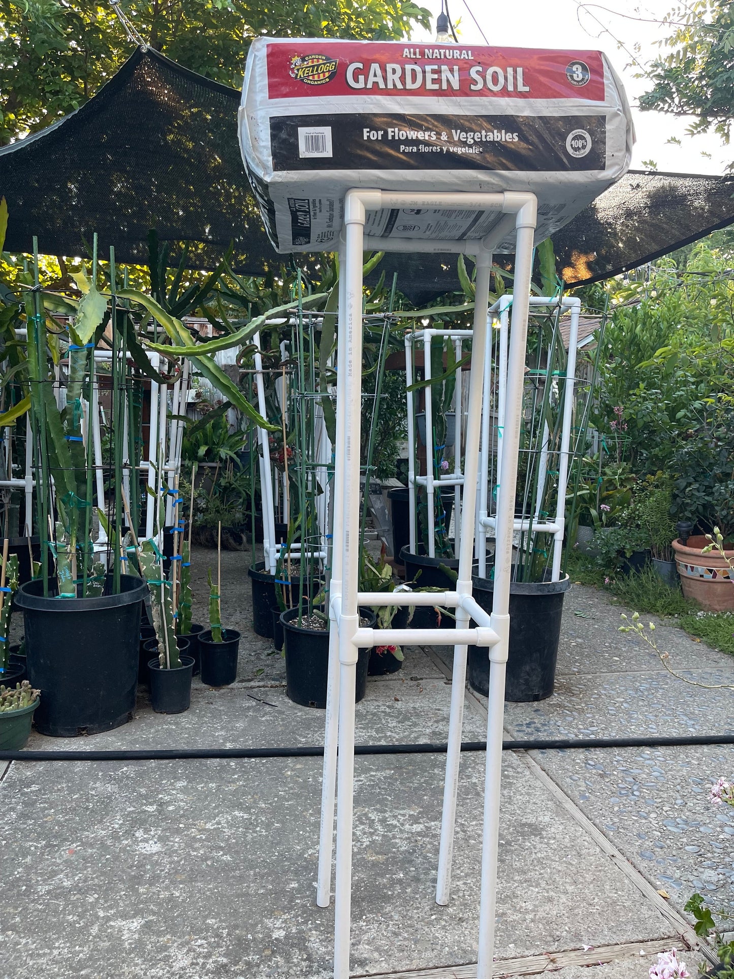 Dragon fruit PVC (Schedule 40) Trellis (54" tall) Long Lasting Light Weight Trellis