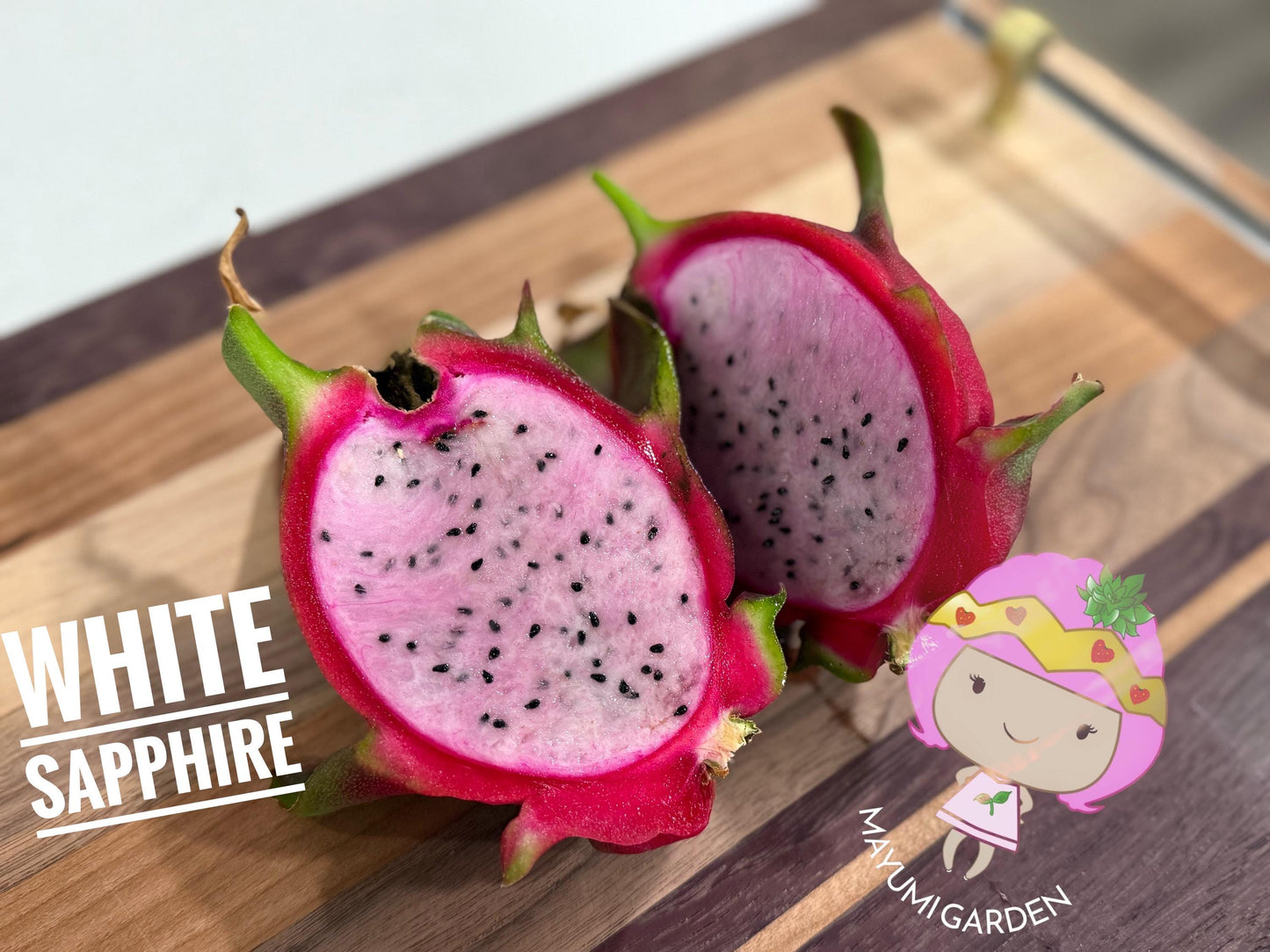 White Saphire Dragon Fruit live cutting 12"