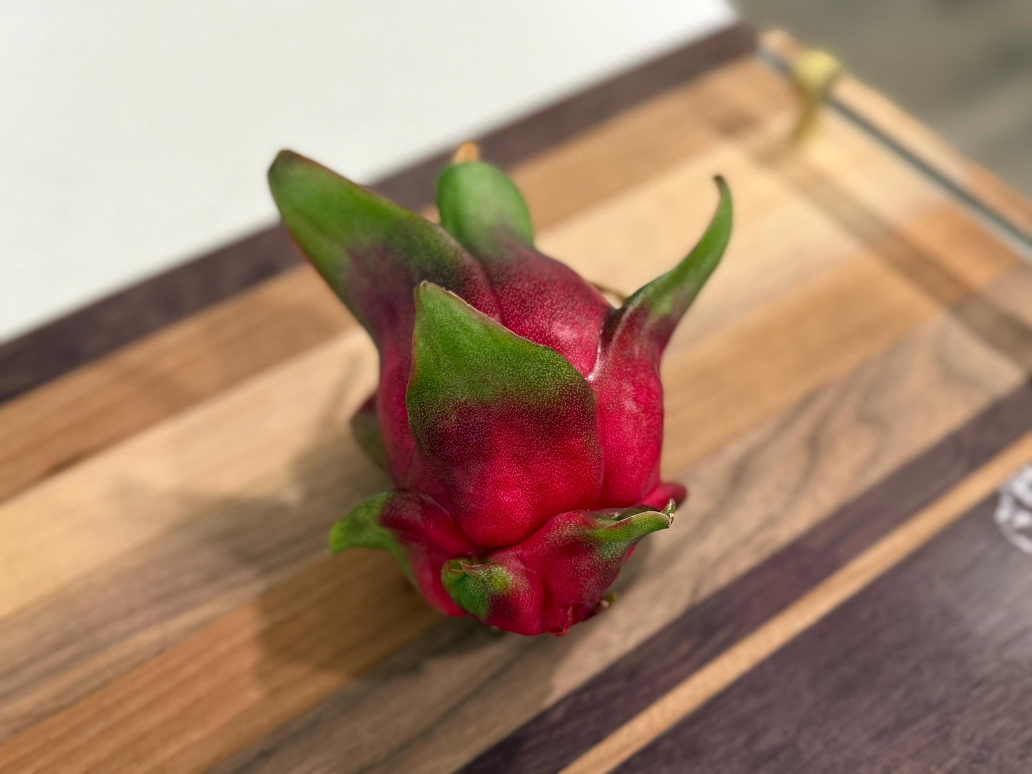 White Saphire Dragon Fruit live cutting 12"