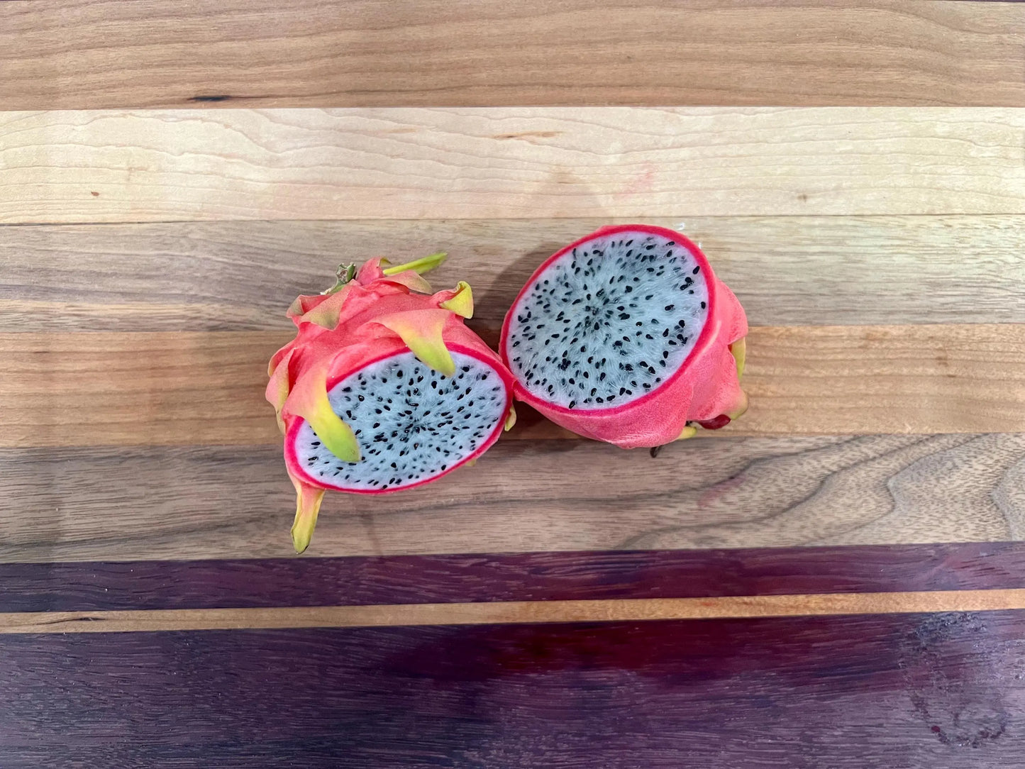 Maui Dragon Dragon Fruit live cuttings 12" long