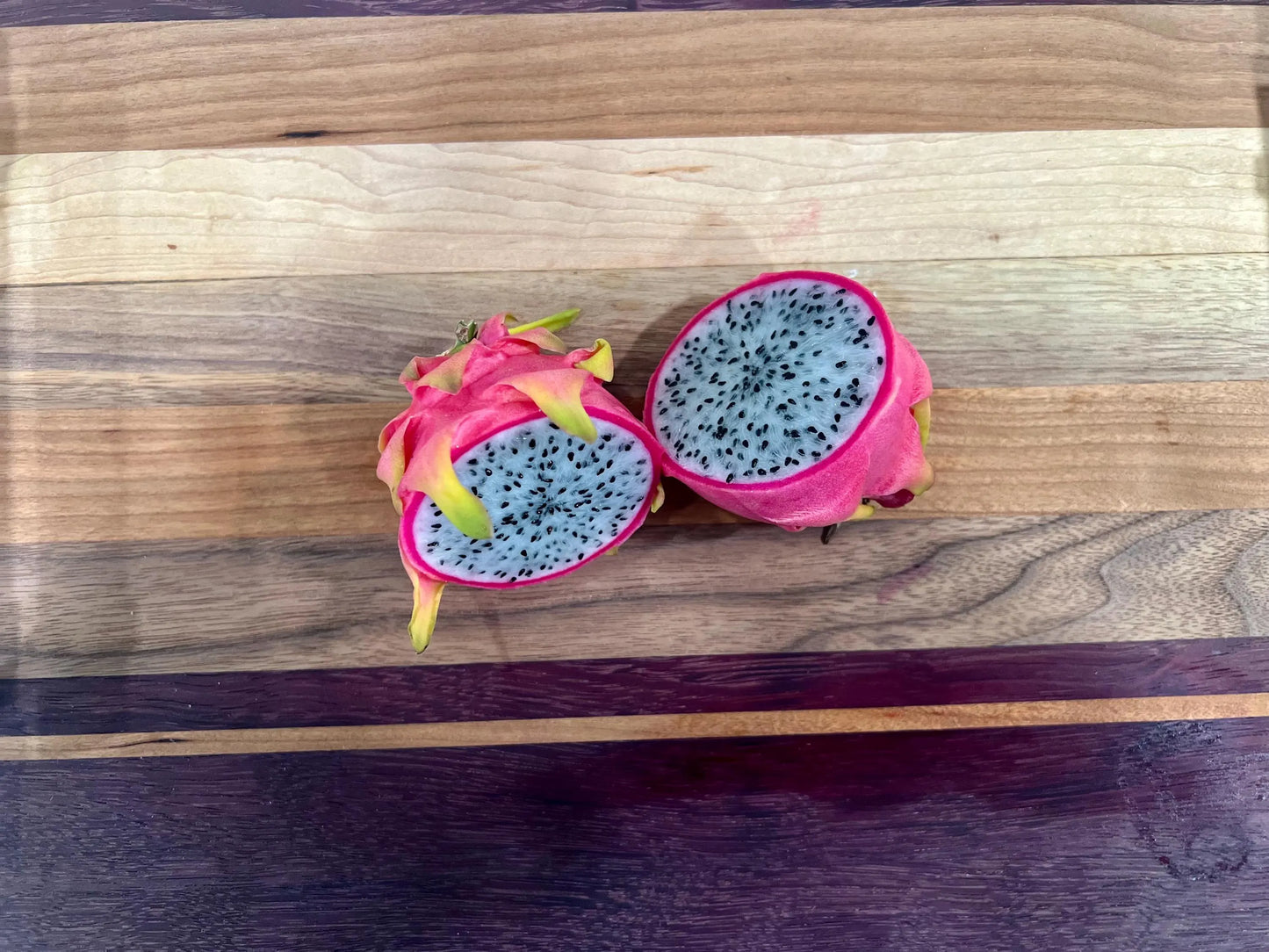 Maui Dragon Dragon Fruit live cuttings 12" long