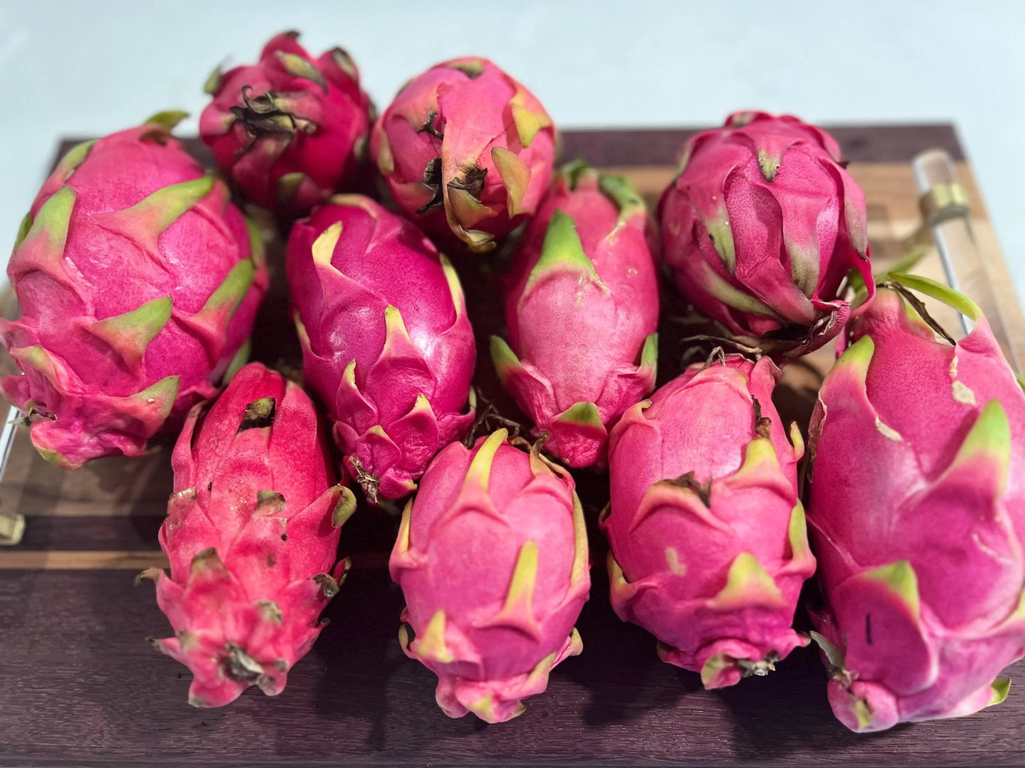 Maui Dragon Dragon Fruit live cuttings 12" long