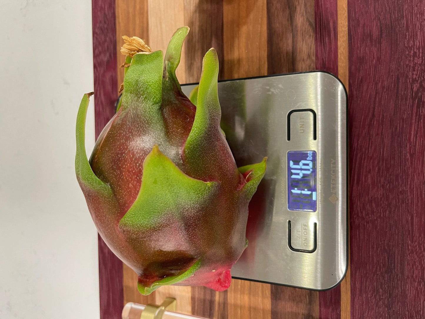 Purple Haze dragon fruit cuttings (12" or longer) and rooted plants