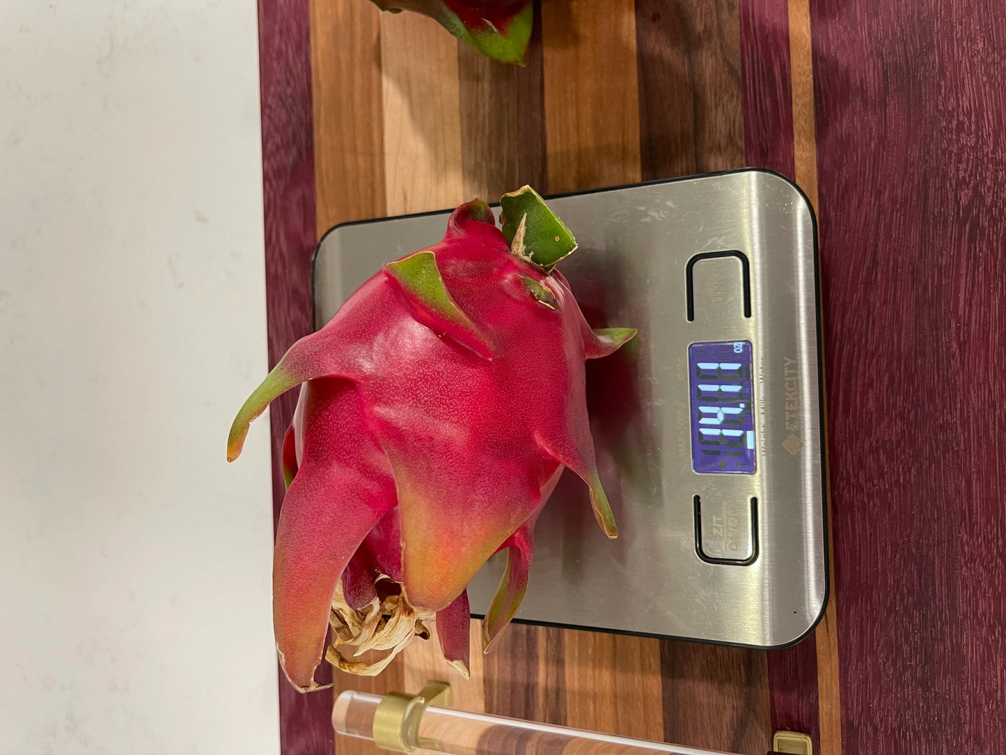 Purple Haze dragon fruit cuttings (12" or longer) and rooted plants