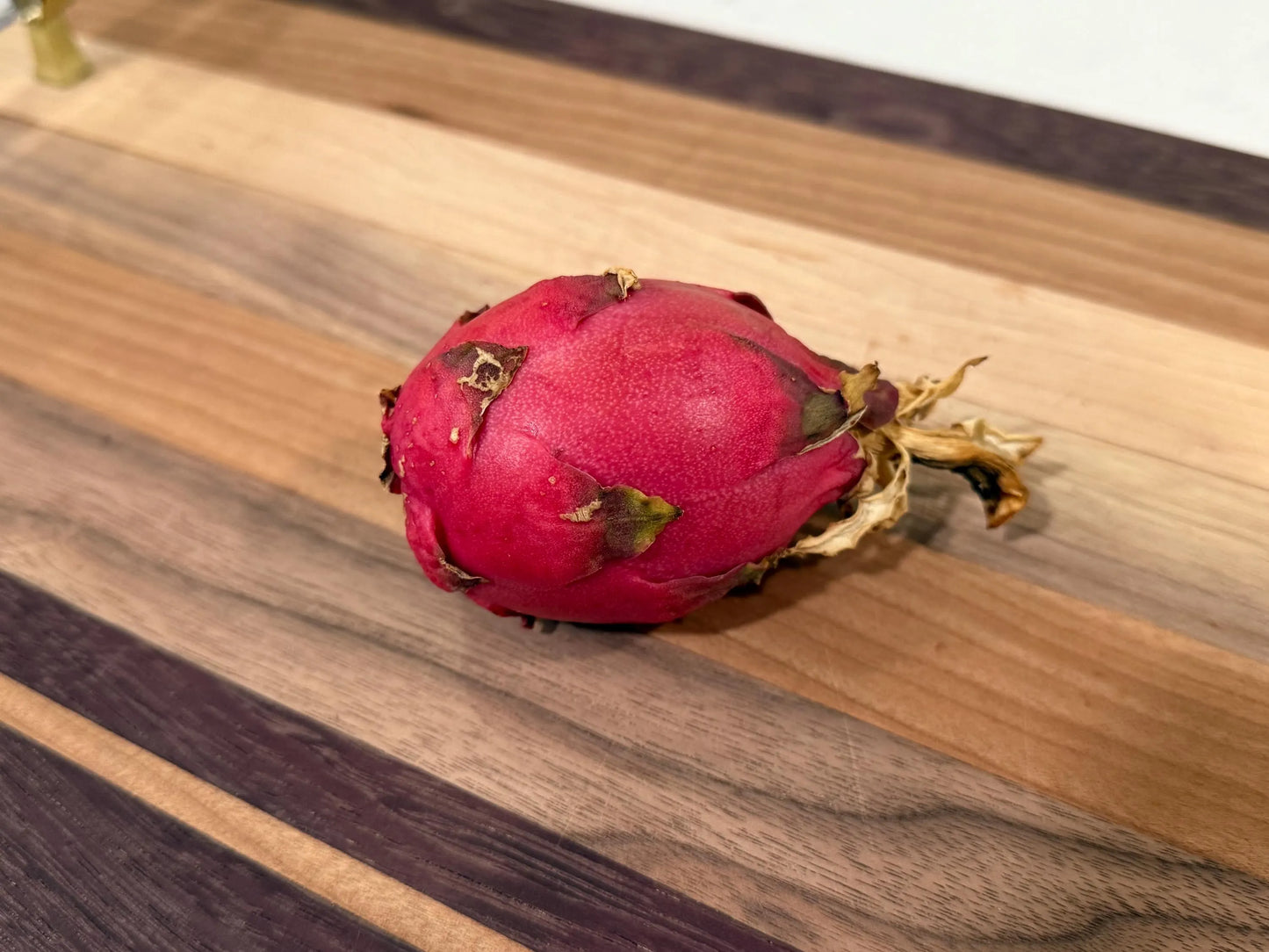 Valdivia Roja Dragon Fruit live plants and cuttings