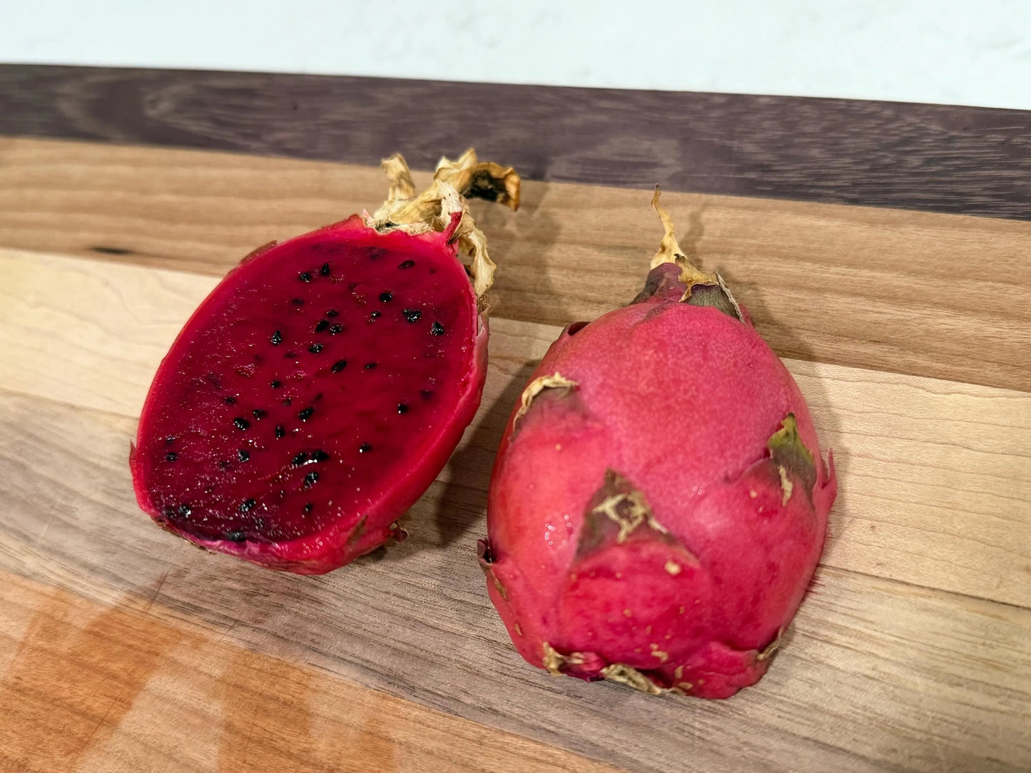 Valdivia Roja Dragon Fruit live plants and cuttings