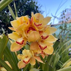 Collection image for: Our Best Sellers