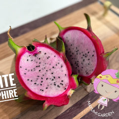 Collection image for: Pink & Purple Flesh Dragon Fruit
