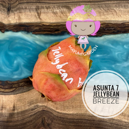 Jellybean Breeze (Asunta 7)