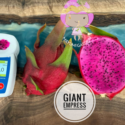 Giant Empress