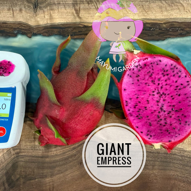 Giant Empress
