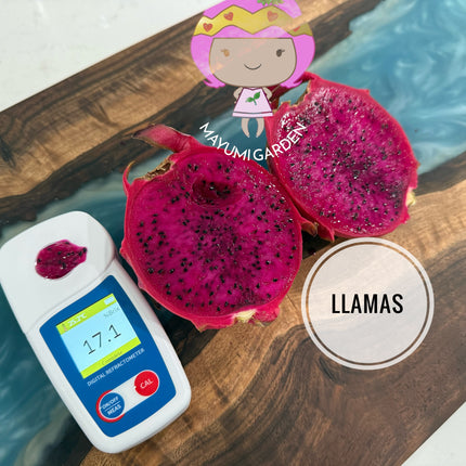 Llamas
