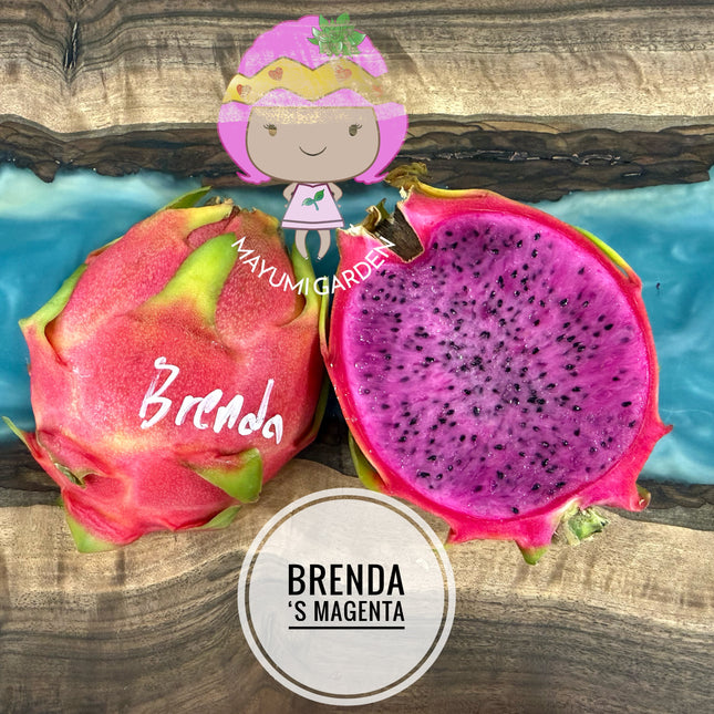 Brenda