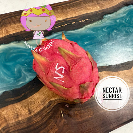 Nectar Sunrise