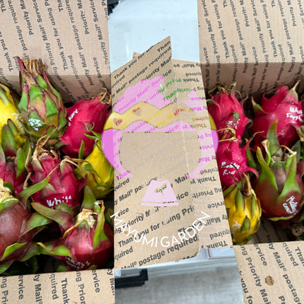 🌈 DFX — Dragon Fruit Experience Box
