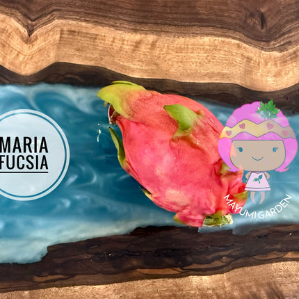Maria Fucsia