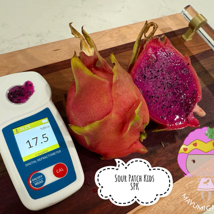 Sour Patch Kids Dragon Fruit cuttings (12")