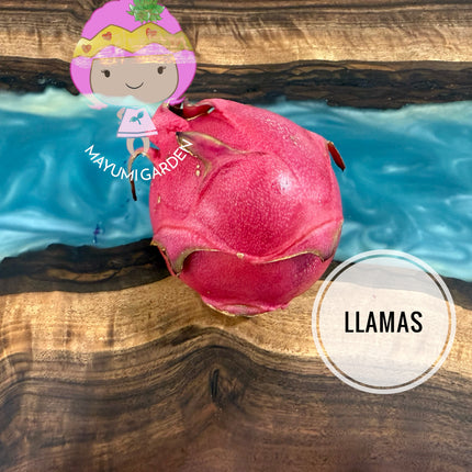 Llamas