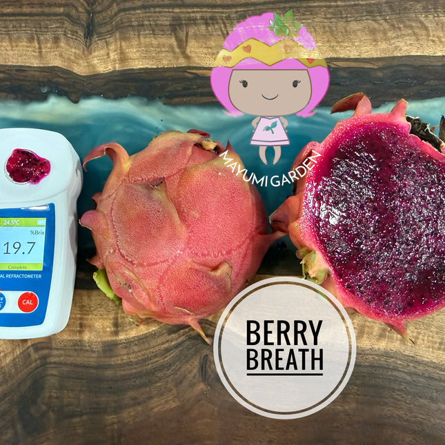 Berry Breath