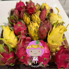 Collection image for: Home page