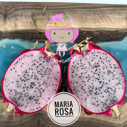 Maria Rosa