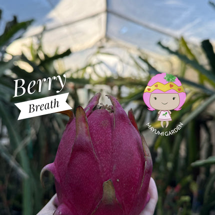 Berry Breath