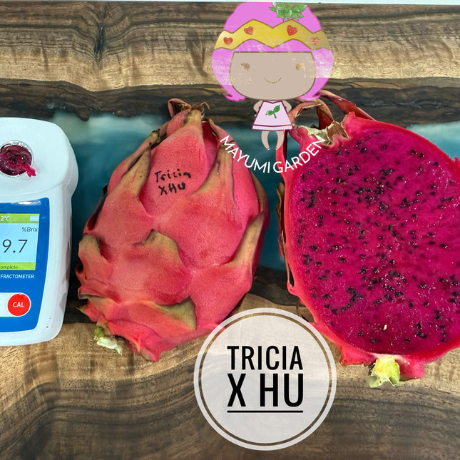 Tricia x Hu