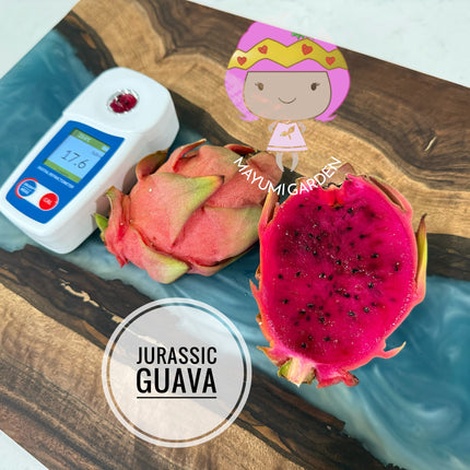 Jurassic Guava