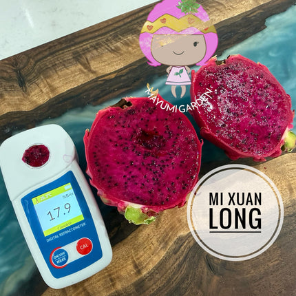 Mi Xuan Long 🔥