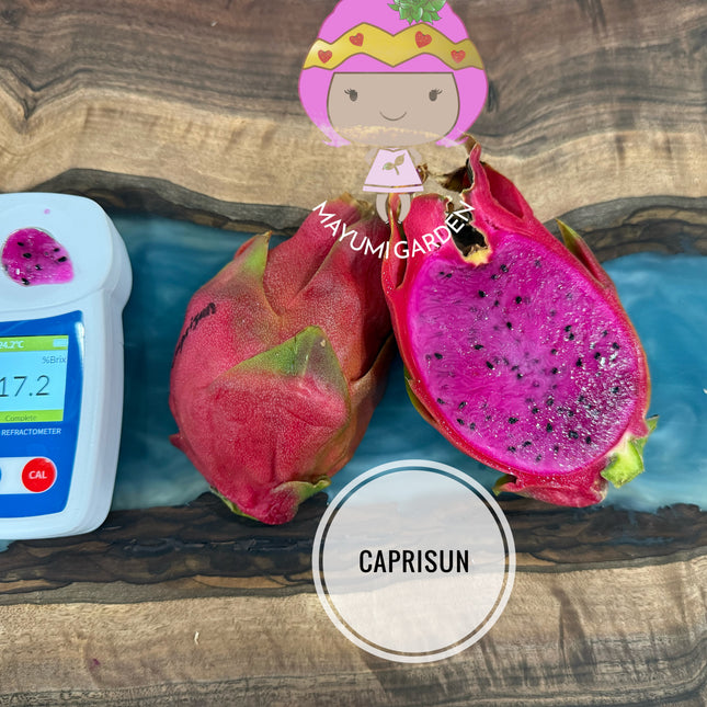 Caprisun 🌺
