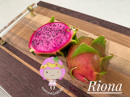 Riona Dragon Fruit live cutting (12")