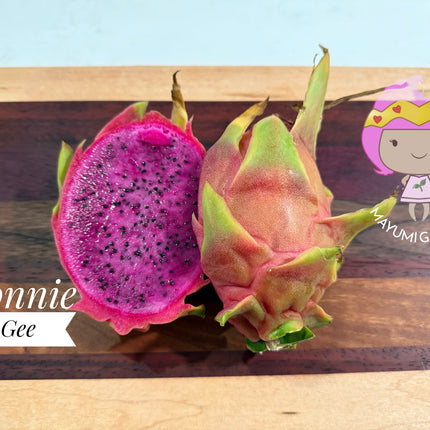 Connie Gee (Don Burnett hybrid)  dragon fruit cuttings (12" or longer)