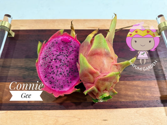 Connie Gee (Don Burnett hybrid)  dragon fruit cuttings (12" or longer)