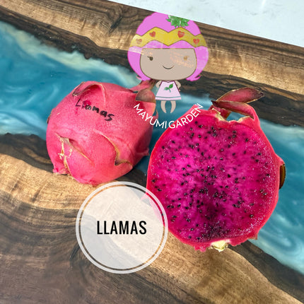 Llamas